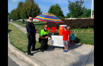 Kids’ lemonade stands get support from police and other groups