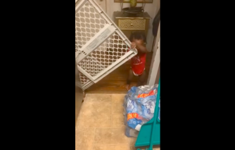 One-Year-Old Baby Sneaks to the Kitchen Even with a Safety Gate [Viral Video]