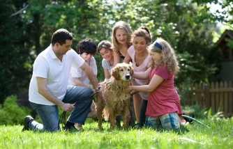 When is the Right Time to Bring a Dog into Your Family?