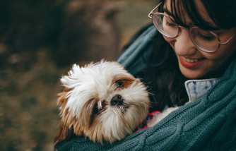 Pet Owners Reveal They Know Their Dog Behavior Better Today