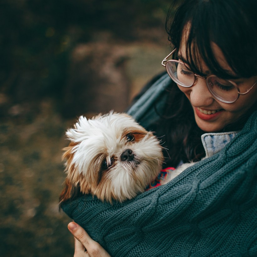 Pet Owners Reveal They Know Their Dog Behavior Better Today