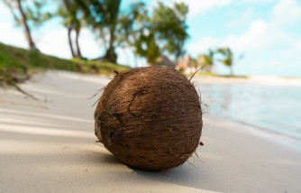 coconut oil for weight loss, uses to reduce fat