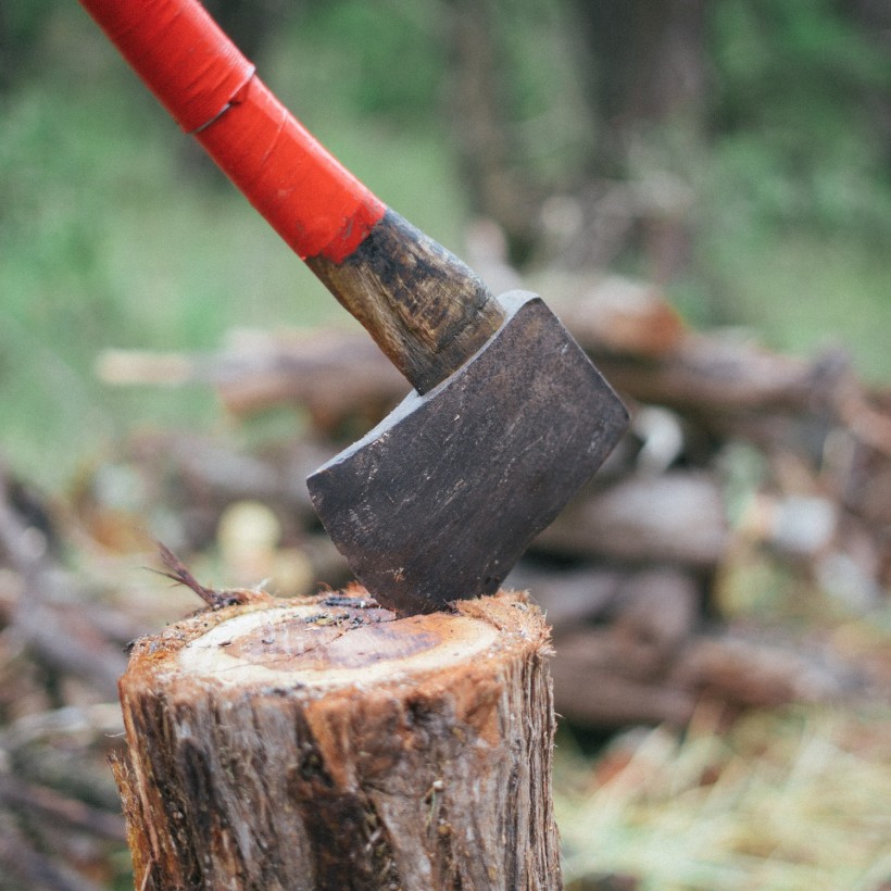 How to Cut down a Tree: 5 Easy and Safe Steps to Follow