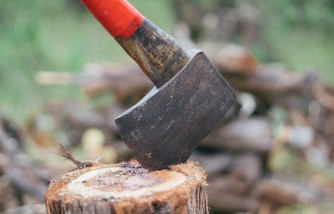 How to Cut down a Tree: Easy and Safe Steps to Follow