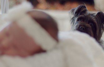 How to Prepare Your Pets for a Newborn Baby