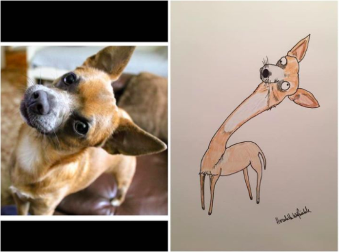 Dad Drew 'Crap' Pet Portraits, and Surprisingly Raised Money for Charity