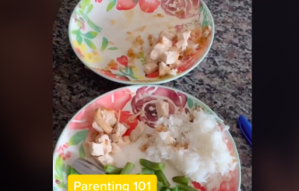 TikTok Parents Reveal How to Avoid Picky Eaters at Their Home [Viral Video]