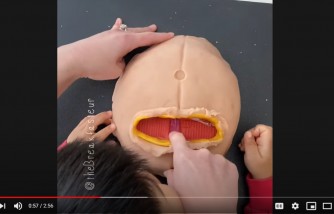 doctor mom teaches 4-year-old child c-section birth, doctor mom uses play-doh to demo c-section birth to son, doctor mom used clay to teach son about c-section birth