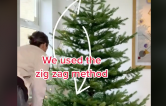Holidays 2020: Mom Shared a Smart Way to Put the Christmas Lights on Trees [Viral Video]