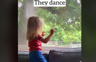 Little Girl's Dance Routine with the Mailman Goes Viral on Tiktok