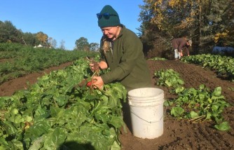 family farm rises after fall, neighbors support local business, family farm rises with neighbors' help