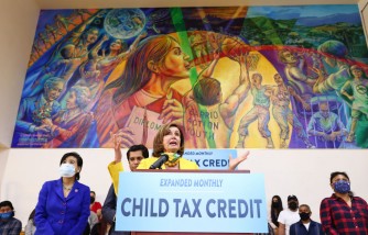 Child Tax Credit: What To Do With Delays, Missing Payments and Wrong Amount?