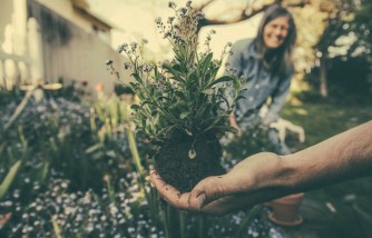 How To Maintain Gardens - Some Helpful Tips