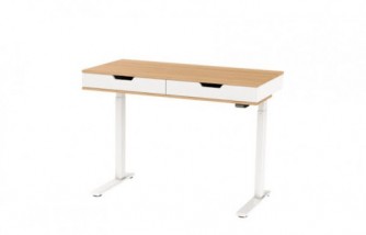 Esben Standing Desk: Perfect Height Adjustable Desk With Integrated Storage Drawer