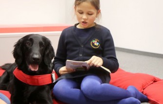Therapy Dogs, Comic Books Key to Successful Rollout of COVID-19 Vaccine For Kids
