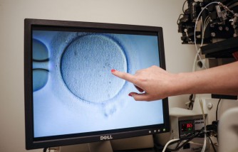 In Vitro Fertilization Success Rate Explained: Does IVF Really Give False Hope to Parents?
