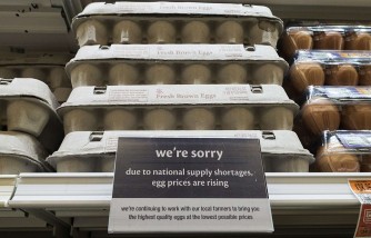 Egg Prices Up By 25% Due to Bird Flu Outbreak Spoiling Easter for Some Families