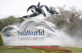 SeaWorld Mime at Orlando Park Calls Out a Dad For Not Giving His Wife a Hand in Viral Video