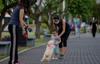 4 Ways to Keep Kids Safer When Interacting with Dogs in the Park this Summer