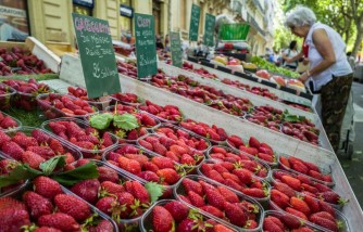 Hepatitis A Outbreak Linked to Fresh Strawberries; How Families Can Stay Safe