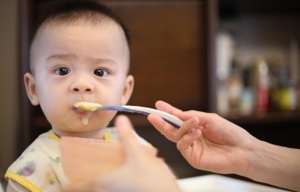 Homemade Pureed Baby Food: Alternative to Commercial Baby Foods That Have High Levels of Sugar