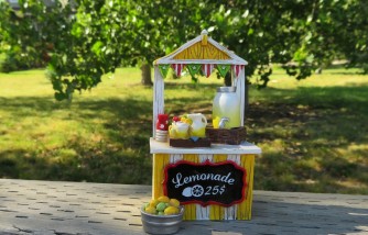 Ohio Girl Closes Lemonade Stand After Someone Complained to the Police, Finds a Way to Reopen