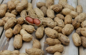Does Eating Nuts Help To Improve Studying and Strengthen Brain Function?