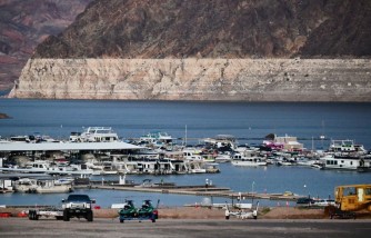 Las Vegas Teen Dies From Brain-Eating Amoeba After Swimming at Lake Mead