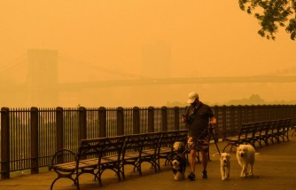 Emergency Planning Criticized as New Yorkers React to Late Notifications on Unhealthy Air Quality