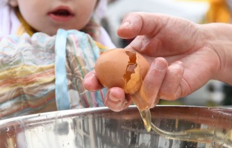 Viral TikTok Prank: Egg Crack Challenge Sparks Concerns Over Child Safety, Health Risks