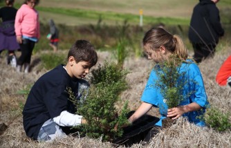 Teaching Kids to Love the Earth: Eco-Friendly Parenting Strategies