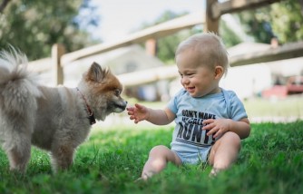 Protecting Your Children: Preventative Measures to Guard Against Pet-Related Dangers