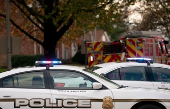 12-Year-Old Exploits Legal Loophole: Sends Multiple Bomb Threats to Maryland Schools