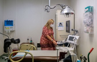 Navigating State Abortion Laws With Early Ultrasounds, Genetic Screenings