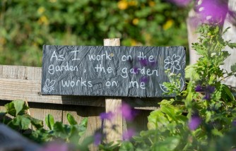 A message in a community garden