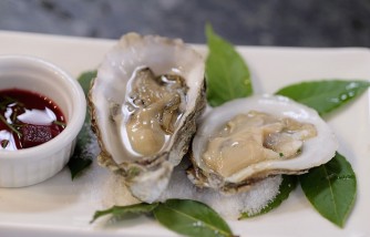 Can Pregnant Women Safely Eat Oysters? What You Need to Know