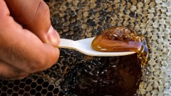 Why Babies Shouldn't Eat Honey: Understanding Infant Botulism
