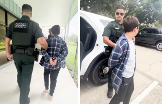 11-Year-Old Arrested