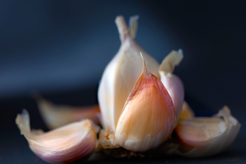 garlic boosts immunity