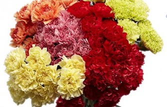 Make Your Mom and Wife Feel Special This Mother's Day with These Bouquets