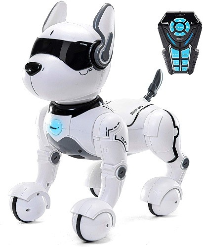 Tech Savvy Kids, Here are the Remote Control Toys for You!