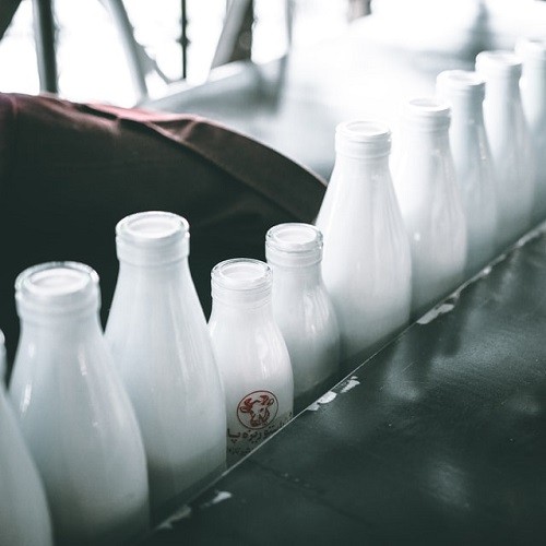 Whole-Fat Dairy: Lowers Risk of Diabetes and High Blood Pressure