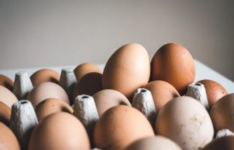 Eggs Provide Better Coating to Fresh Produce Sans the Harmful Effects of Wax